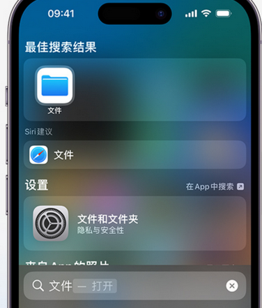 永德apple维修中心分享iPhone文件应用中存储和找到下载文件