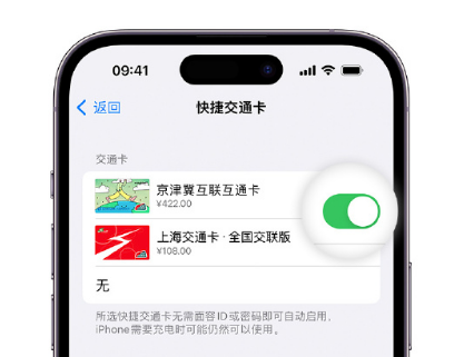 永德apple维修点分享iPhone上更换Apple Pay快捷交通卡手绘卡面 