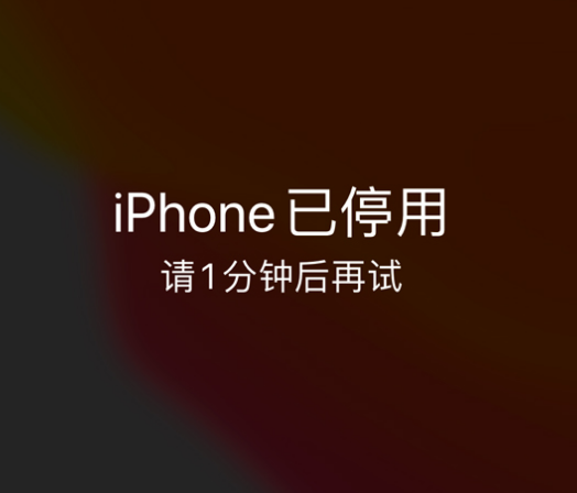 永德苹果手机维修分享:iPhone 显示“不可用”或“已停用”怎么办？还能保留数据吗？ 