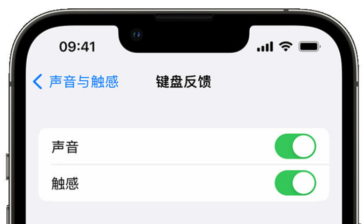 永德苹果手机维修分享iPhone 14触感键盘使用方法 