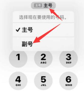 永德苹果14维修店分享iPhone 14 Pro Max使用副卡打电话的方法 