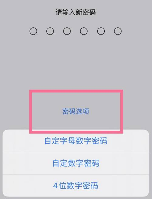 永德苹果14维修分享iPhone 14plus设置密码的方法 