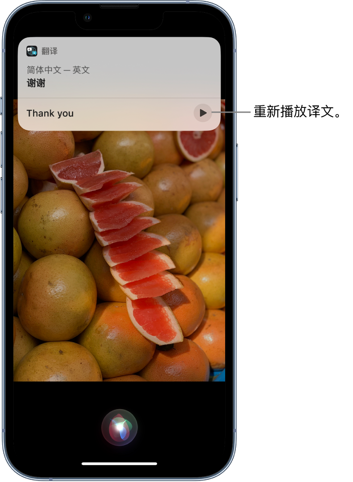 永德苹果14维修分享 iPhone 14 机型中使用 Siri：了解 Siri 能帮你做什么 