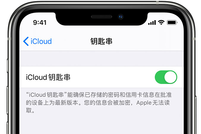 永德苹果手机维修分享在 iPhone 上开启 iCloud 钥匙串之后会储存哪些信息 