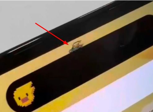 永德苹果14维修分享iPhone 14 Pro Max灵动岛怎么养宠物 