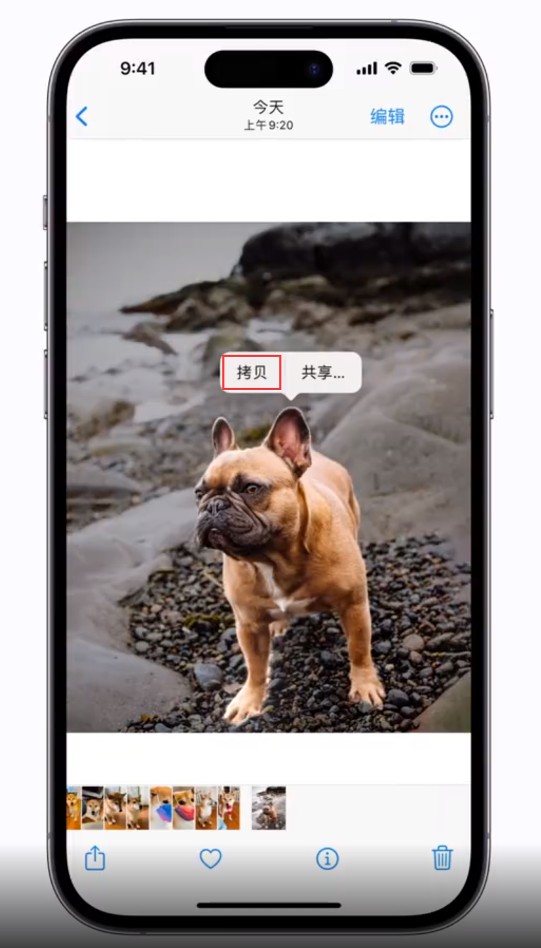 永德苹果手机维修分享 iOS 16 自带一键抠图功能 