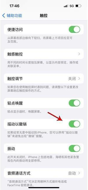 永德苹果手机维修分享iPhone手机如何设置摇一摇删除文字 