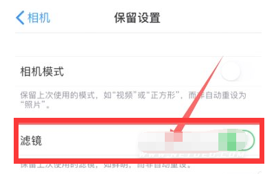 永德苹果13维修分享iPhone13拍照有绿点是怎么回事 