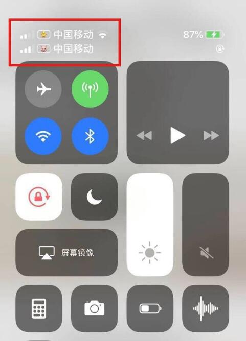 永德苹果手机维修分享为 iPhone 12 双卡设置标签 