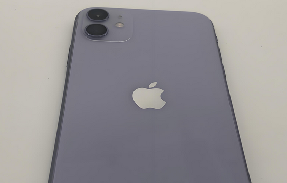 永德苹果11系统维修分享iPhone11手机系统崩溃无法开机如何解决