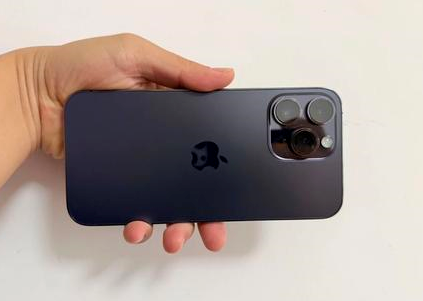 永德苹果维修点分享iPhone 14 Pro Max黑屏少见故障盘点 